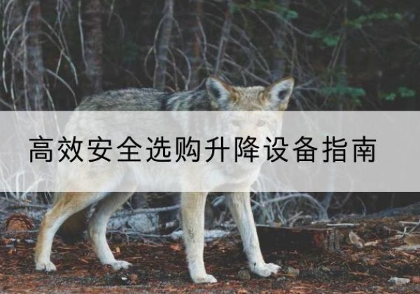 白河升降货梯厂家推荐-*安全选购升降设备指南