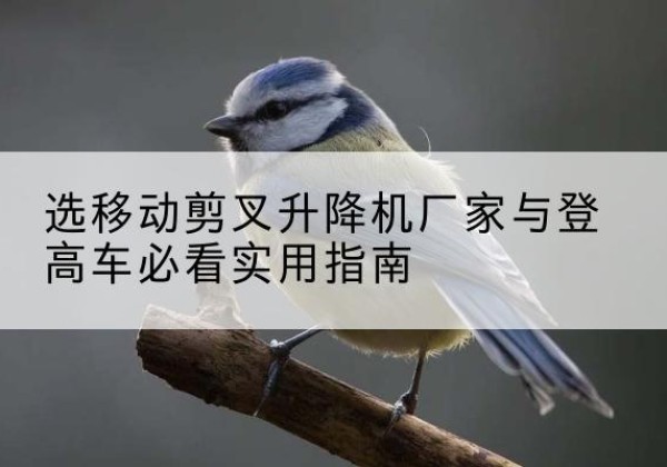 白河电动升降机厂家-选移动剪叉升降机厂家与登高车必看实用指南
