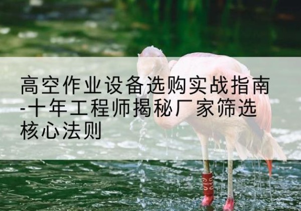 白河剪叉式升降机厂家-高空作业设备选购实战指南-十年工程师揭秘厂家筛选核心法则